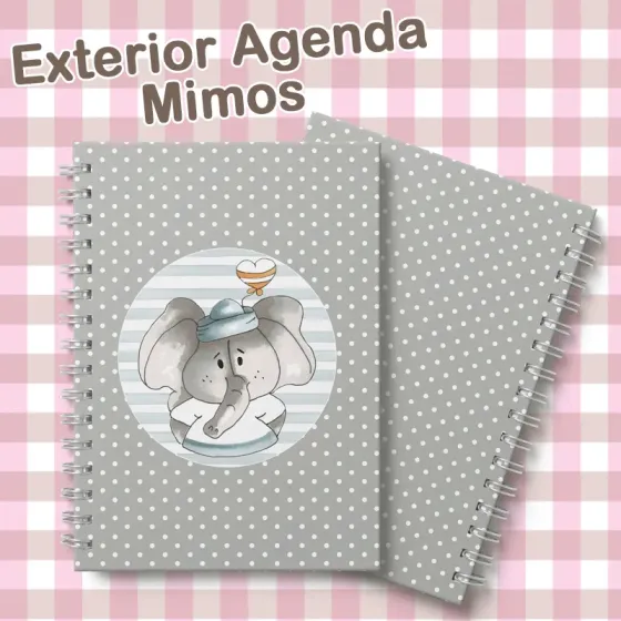 Exterior Agenda Mimos 2026