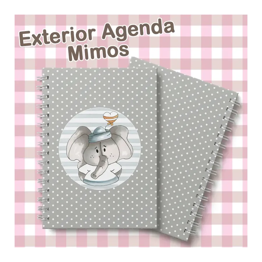 Exterior Agenda Mimos 2026