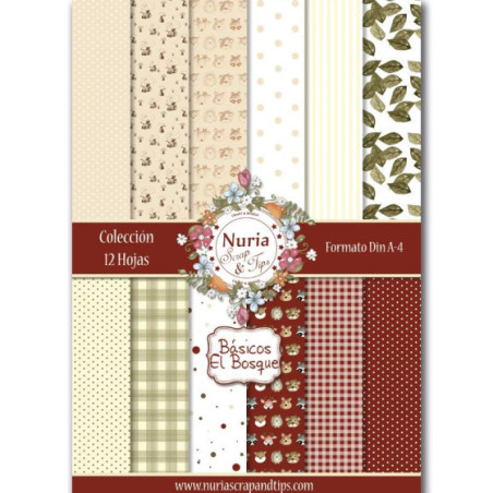 Básicos "El Bosque"